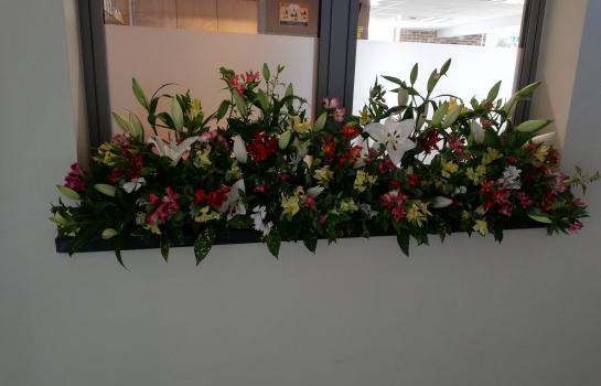 Jubileumfeest - augustus 2019